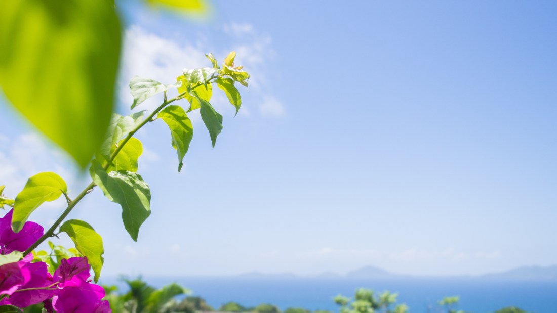 vue sur les saintes, guadeloupe