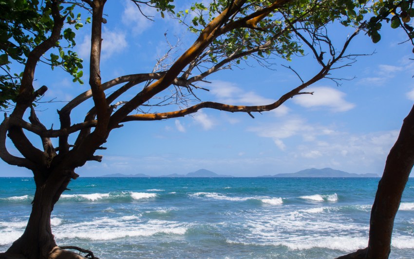 guadeloupe, trois rivières, grande anse, basse terre