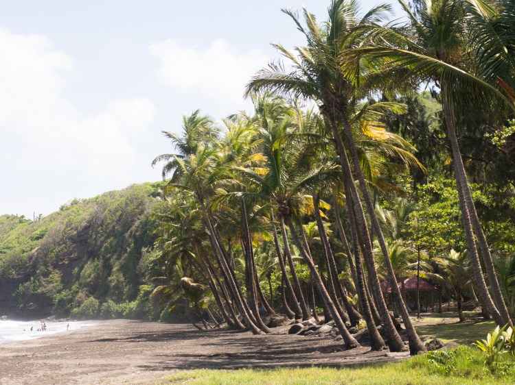 Grande Anse, trois rivières, guadeloupe, basse terre