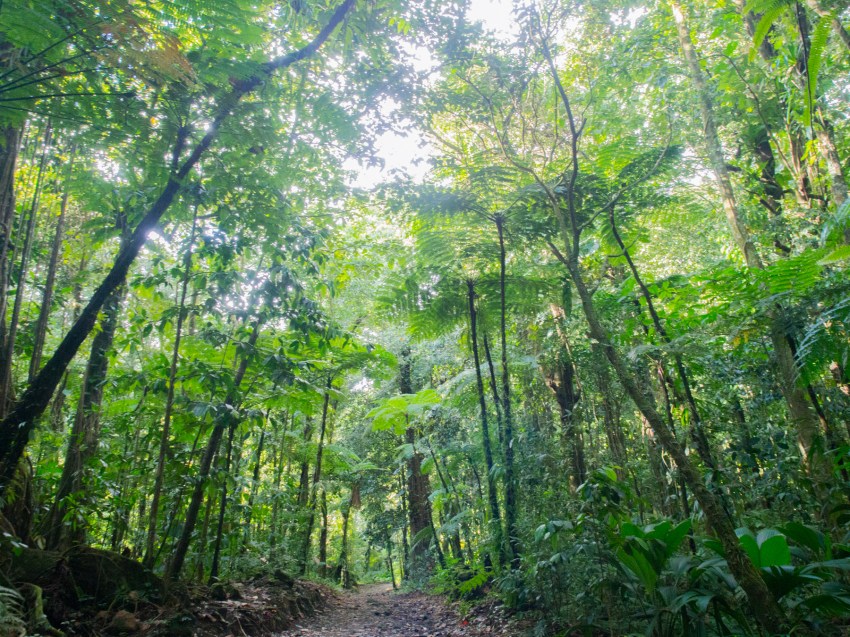 guadeloupe, bassin bleu, gourbeyre, basse terre