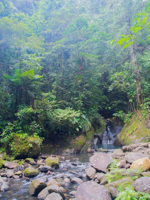 guadeloupe, bassin bleu, gourbeyre, basse terre