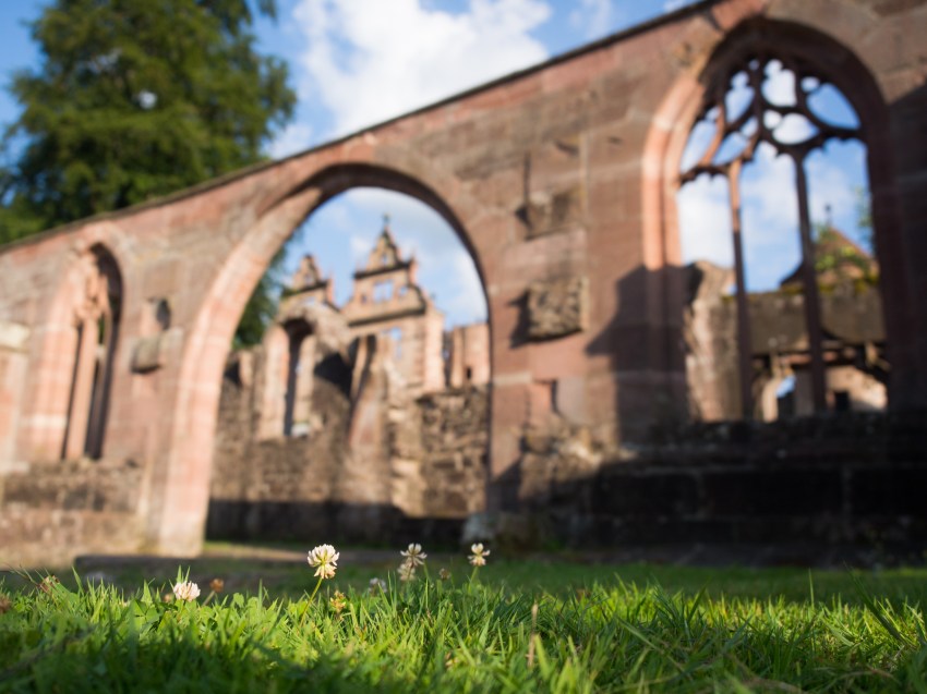calw, hirsau, cloitre, forêt noire, schwarzwald, blackforest