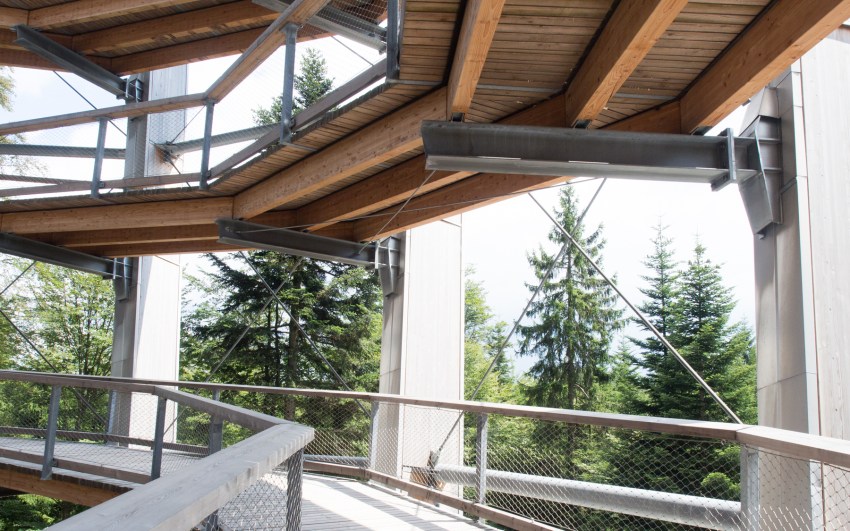 bad wildbad, canopée, baumwipfelpfad, Schwarzwald, foret noire, sommerbergbahn