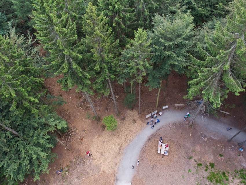 bad wildbad, canopée, baumwipfelpfad, Schwarzwald, foret noire, sommerbergbahn