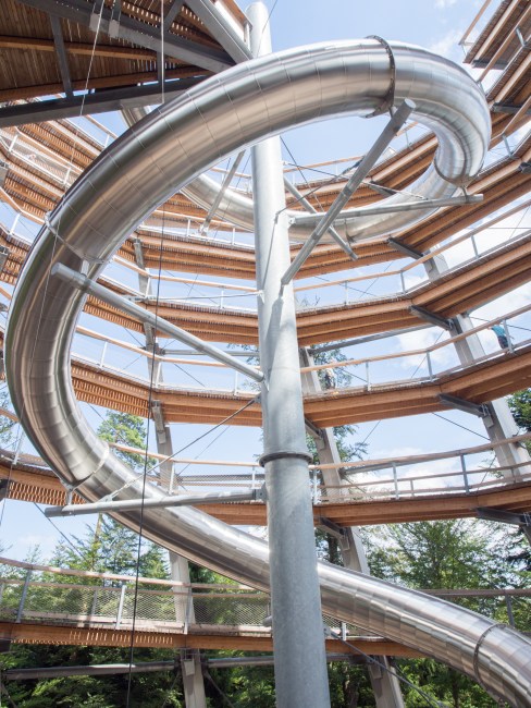 bad wildbad, canopée, baumwipfelpfad, Schwarzwald, foret noire, sommerbergbahn