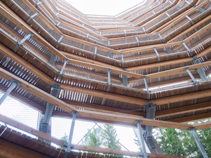 bad wildbad, canopée, baumwipfelpfad, Schwarzwald, foret noire, sommerbergbahn