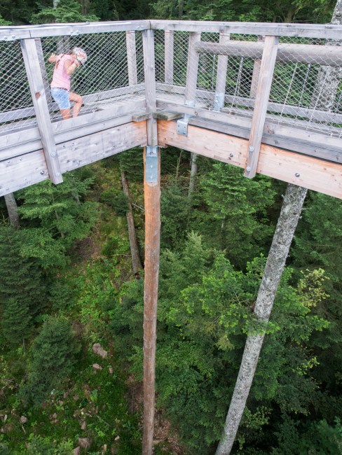bad wildbad, canopée, baumwipfelpfad, Schwarzwald, foret noire, sommerbergbahn