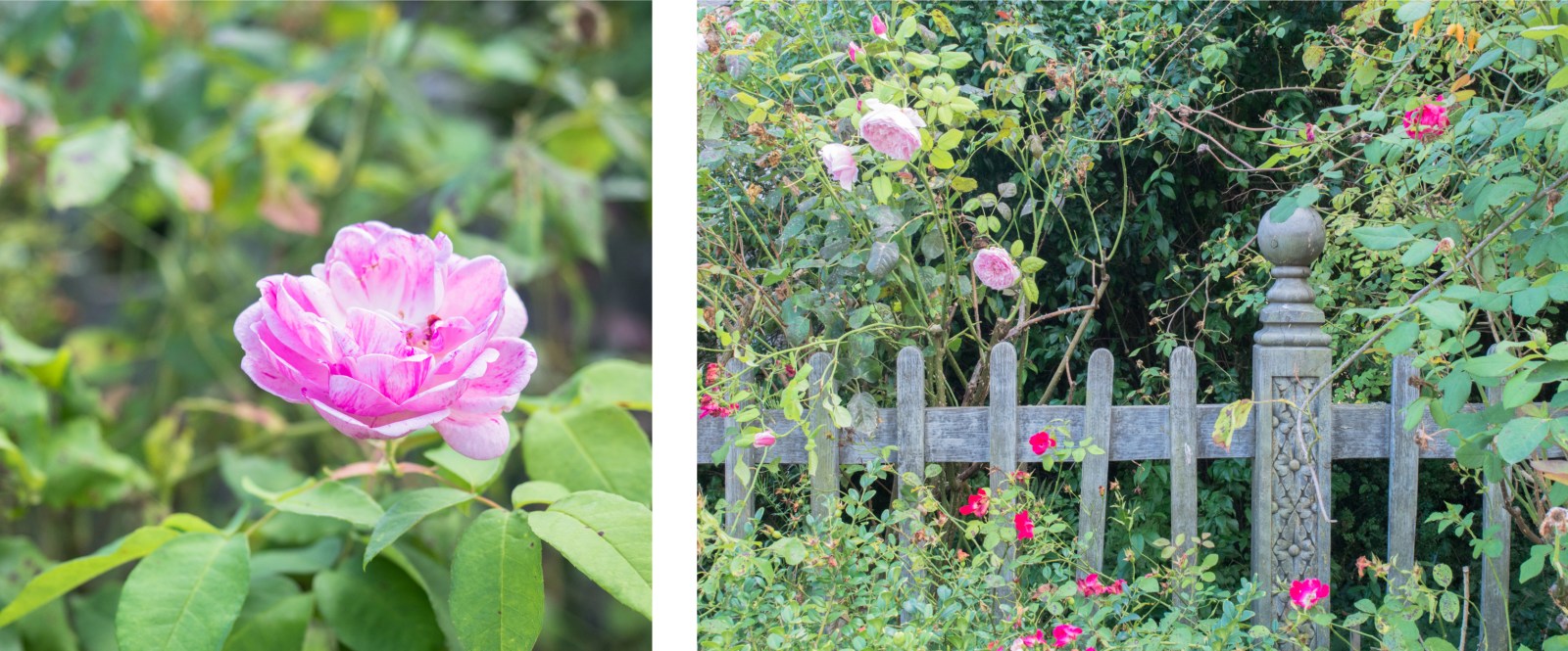 hunspach, alsace, colombage