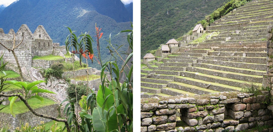 train, cusco, machu picchu
