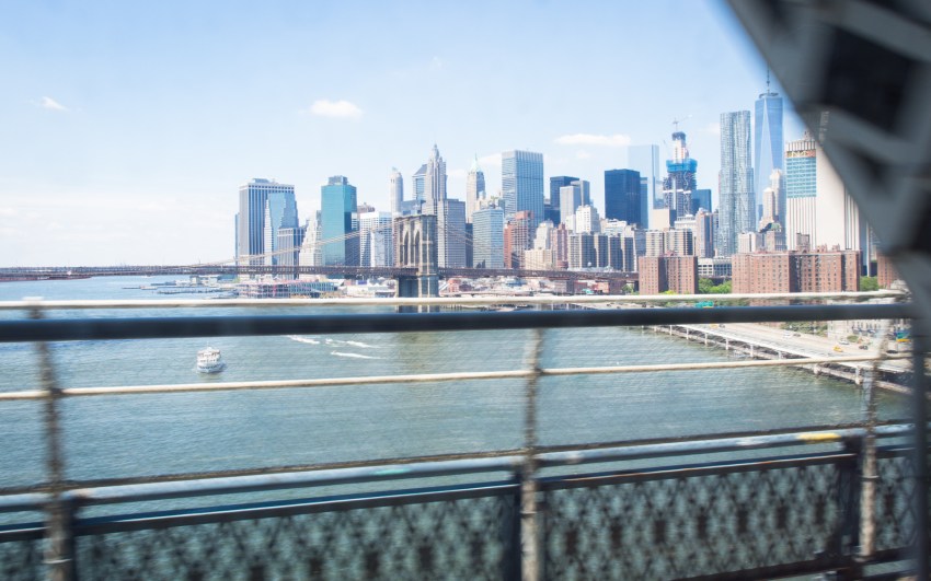 coney island, new york, brooklyn, hotdog, états unis