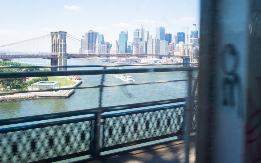 coney island, new york, brooklyn, hotdog, états unis