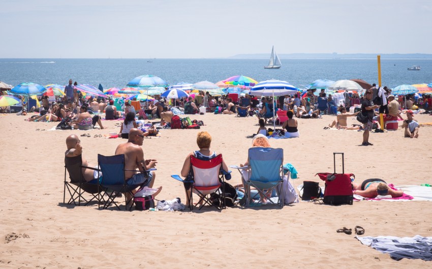 coney island, new york, brooklyn, hotdog, états unis