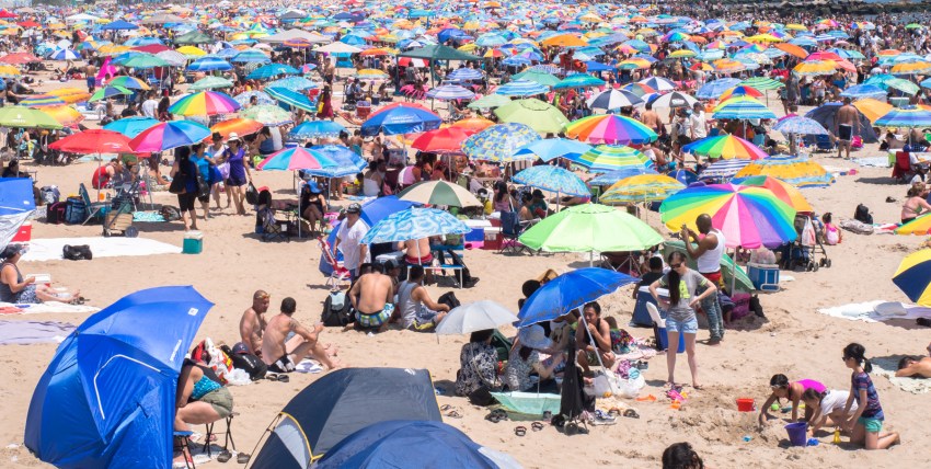 coney island, new york, brooklyn, hotdog, états unis