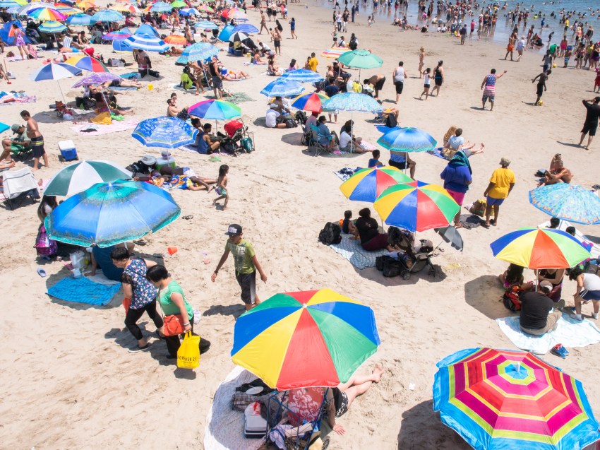 coney island, new york, brooklyn, hotdog, états unis