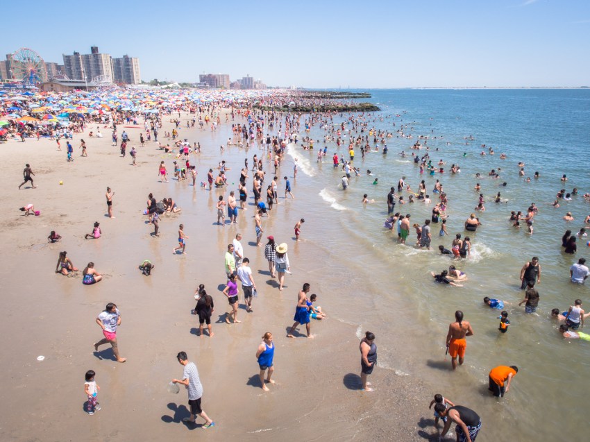 coney island, new york, brooklyn, hotdog, états unis