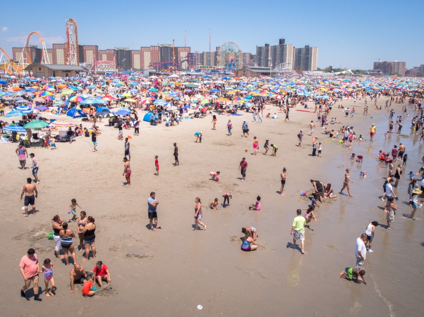 coney island, new york, brooklyn, hotdog, états unis