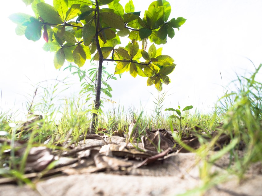 port louis, guadeloupe, grande terre