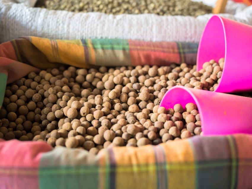 pointe à pitre, guadeloupe, marché