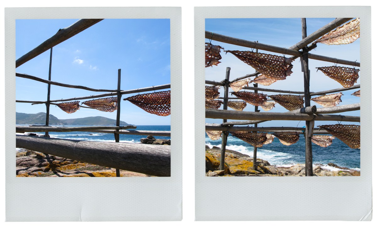 espagne, galice, séchage de poisson