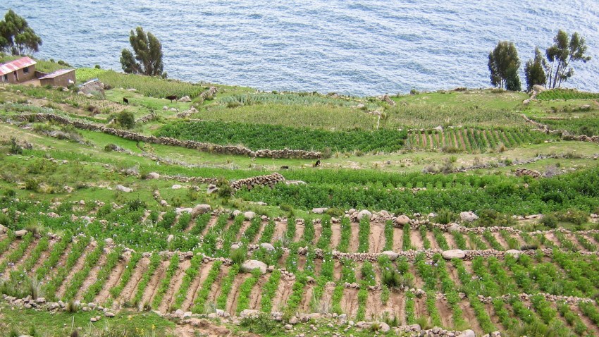 pérou, lac titicaca, taquile