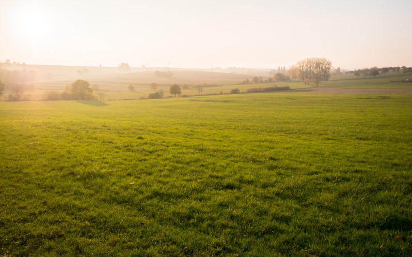 automne, alsace, feuilles