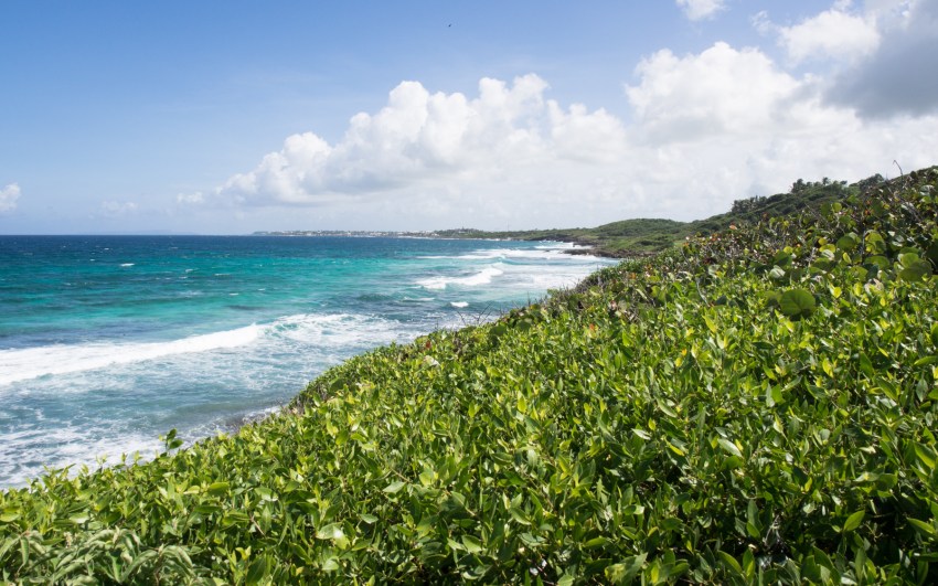 le moule, guadeloupe