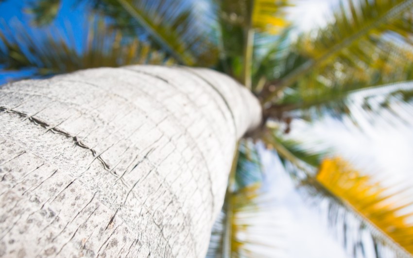 guadeloupe,saint françois