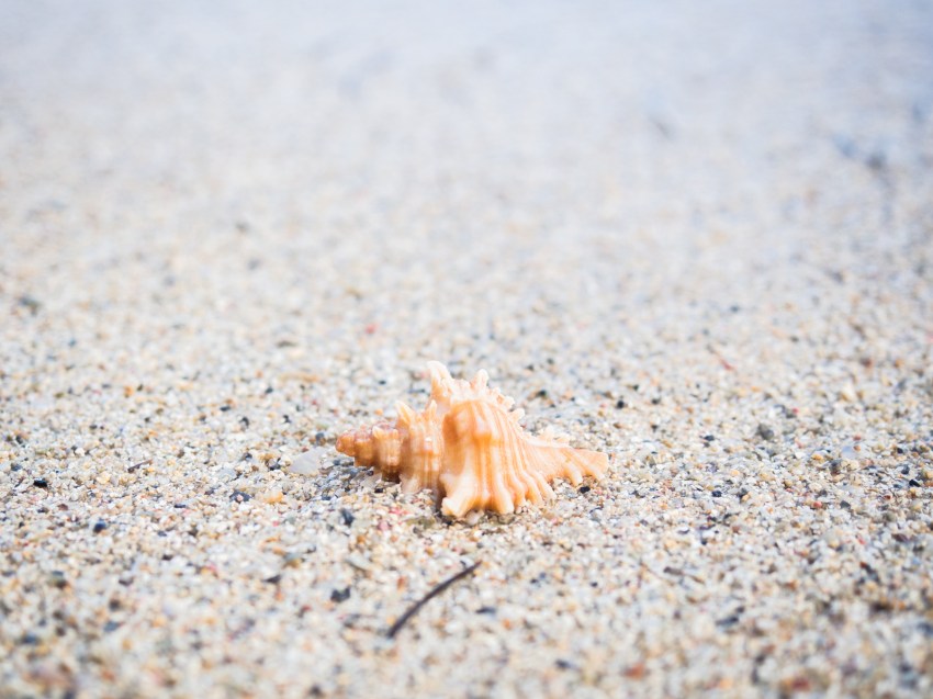 guadeloupe,saint françois