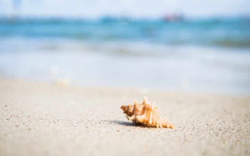guadeloupe,saint françois