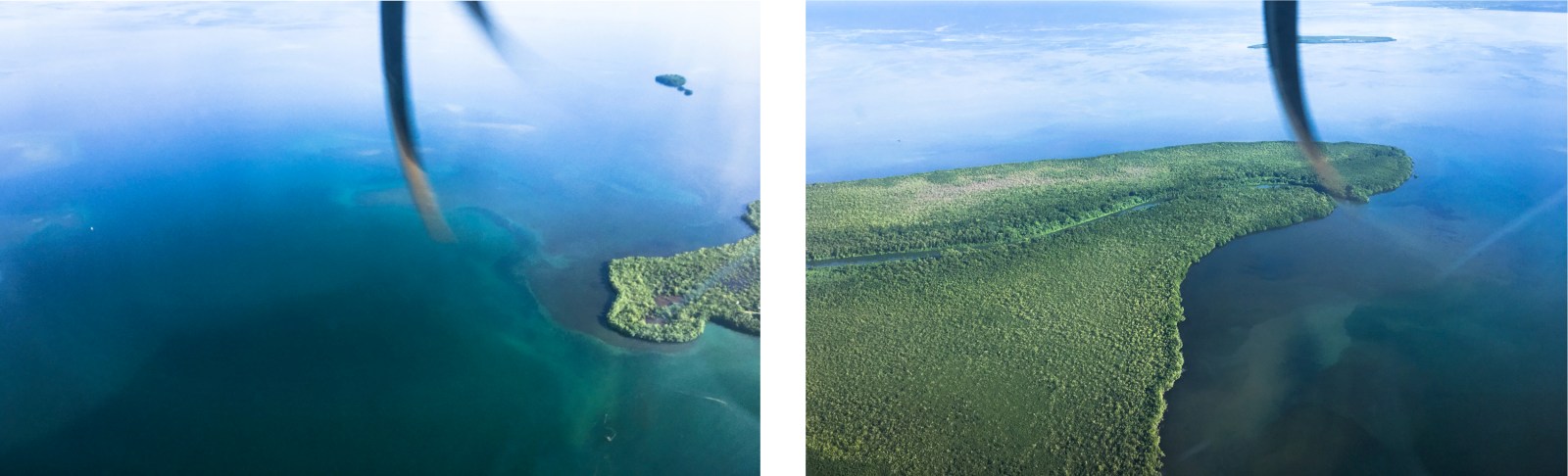 guadeloupe, mangrove, basse terre
