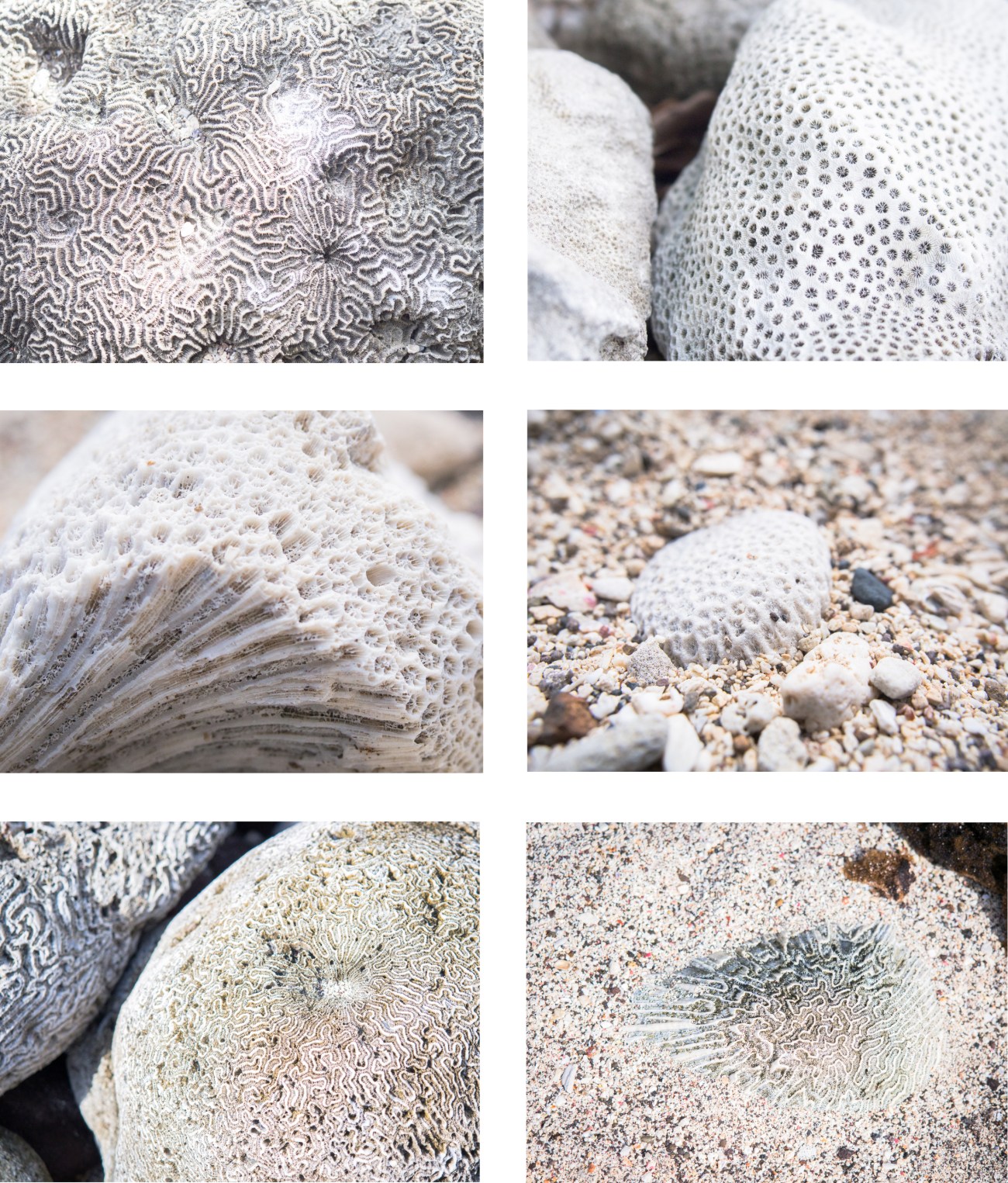 kayak, malendure, reserve cousteau, bouillante, guadeloupe