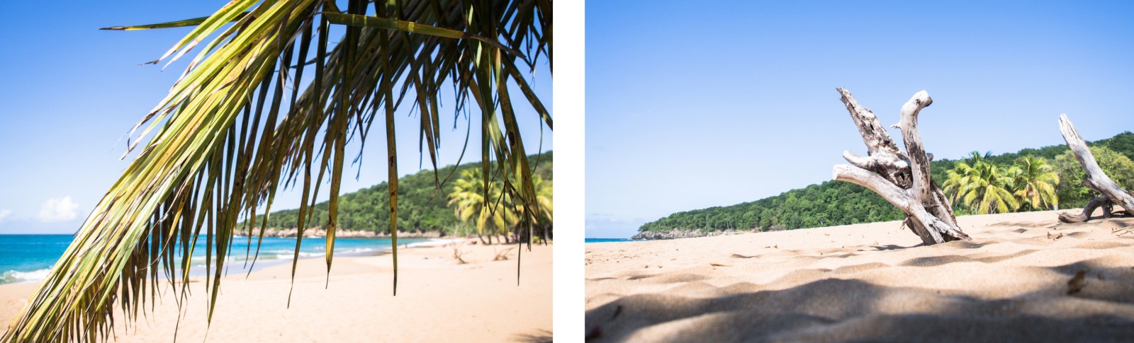 nord basse terre, la perle, guadeloupe