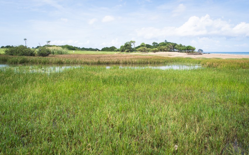 nord basse terre, nogent, guadeloupe
