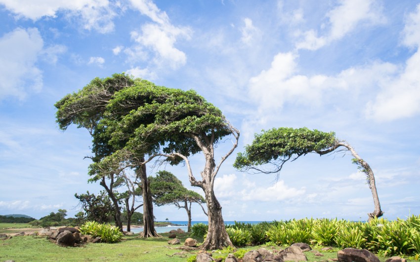 nord basse terre, nogent, guadeloupe