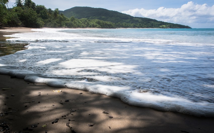 nord basse terre, cluny, guadeloupe