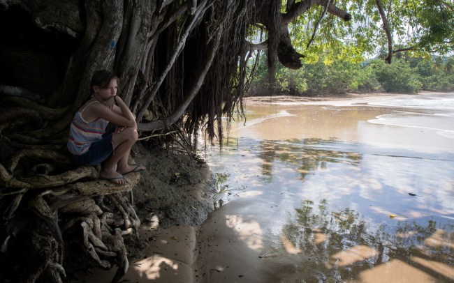 nord basse terre, cluny, guadeloupe