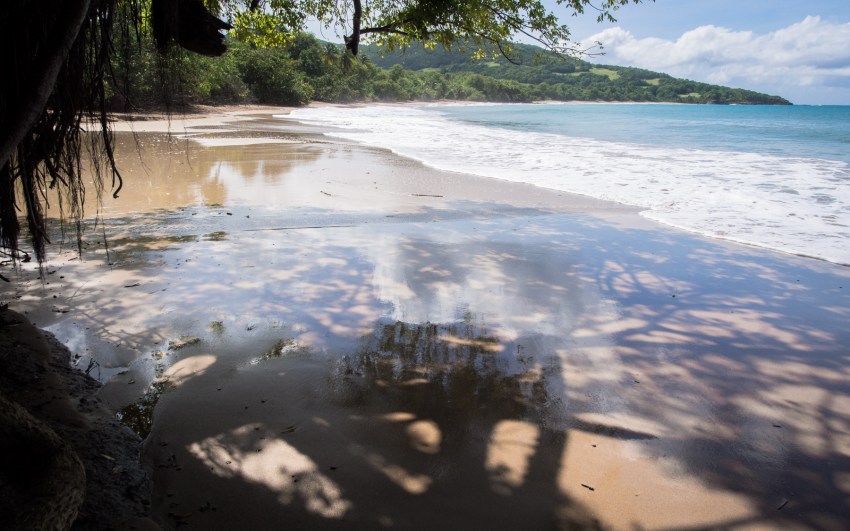 nord basse terre, cluny, guadeloupe