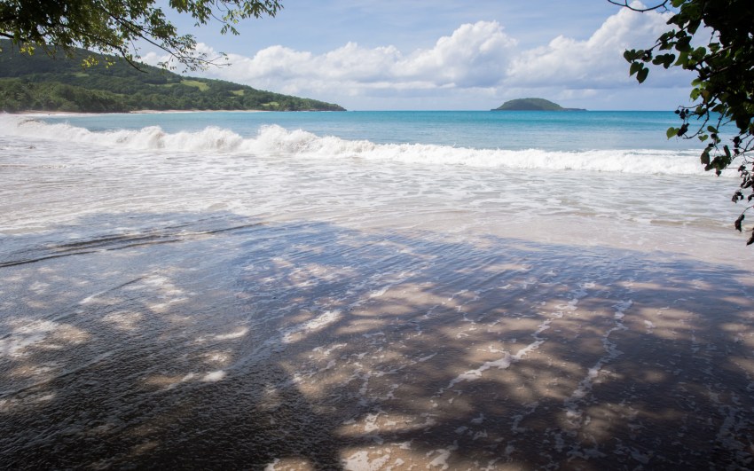 nord basse terre, cluny, guadeloupe