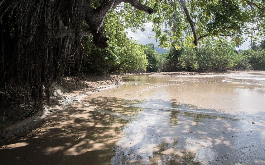 nord basse terre, cluny, guadeloupe