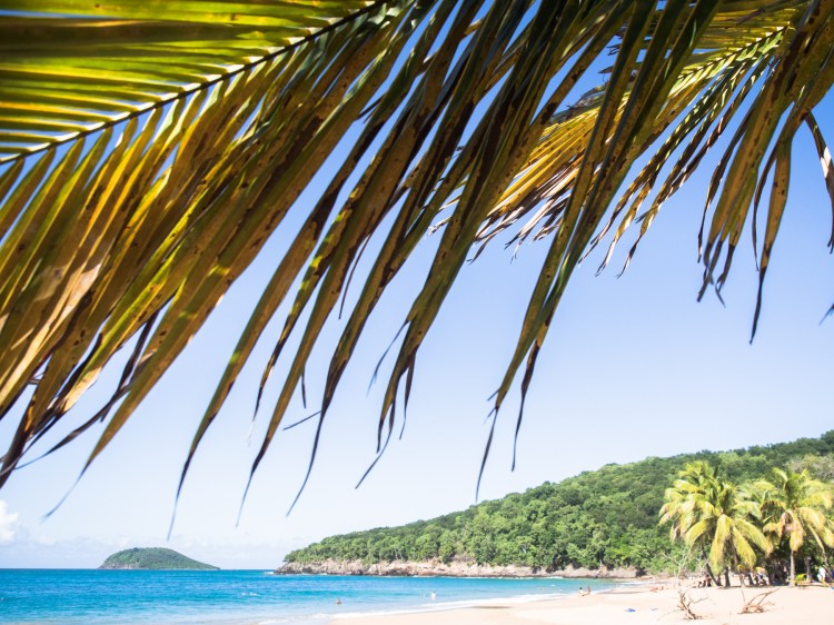 nord basse terre, la perle, guadeloupe