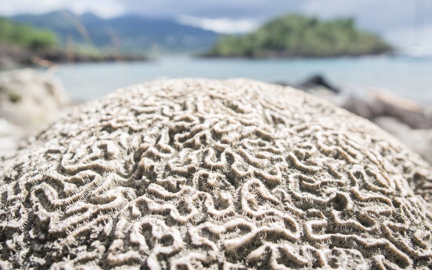 kayak, malendure, reserve cousteau, bouillante, guadeloupe