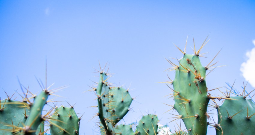 kayak, malendure, reserve cousteau, bouillante, guadeloupe