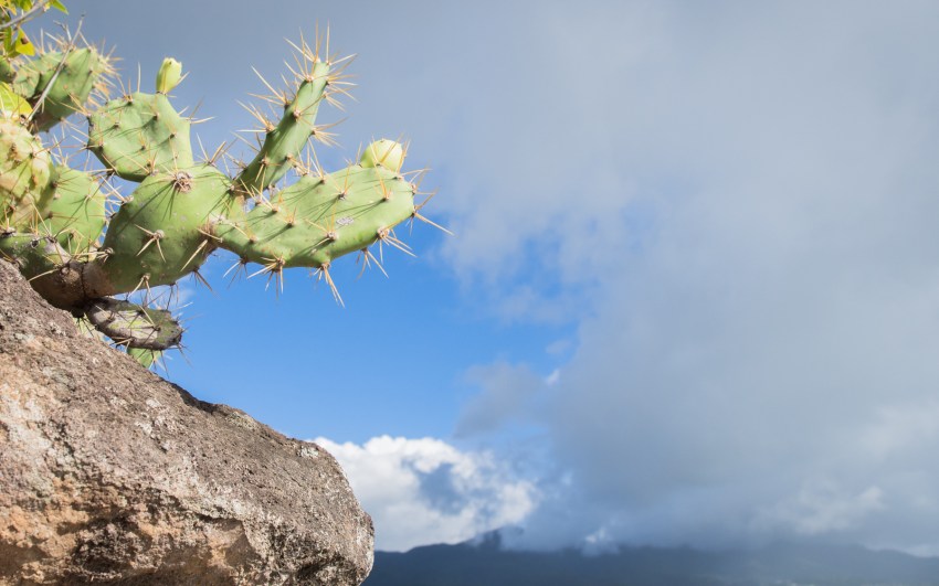 kayak, malendure, reserve cousteau, bouillante, guadeloupe