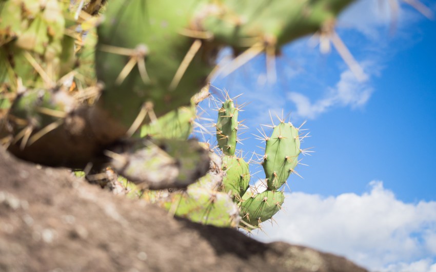 kayak, malendure, reserve cousteau, bouillante, guadeloupe