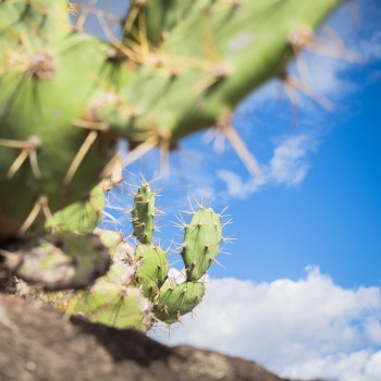 kayak, malendure, reserve cousteau, bouillante, guadeloupe