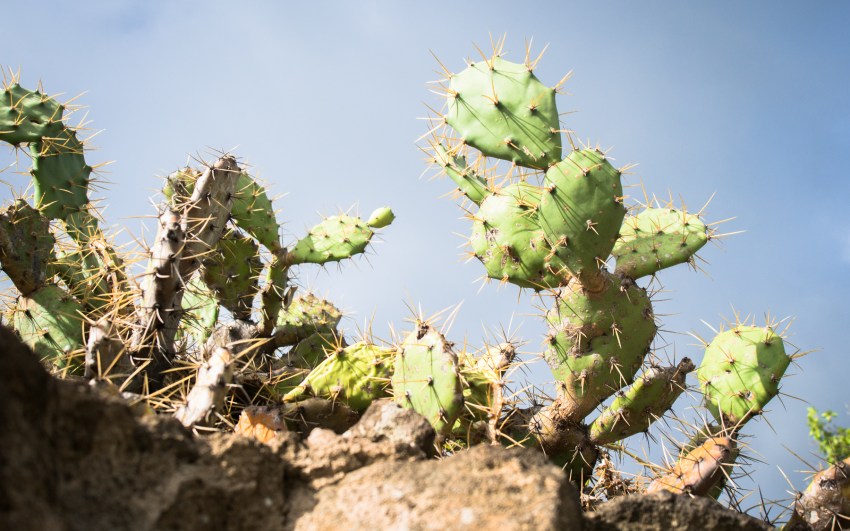 kayak, malendure, reserve cousteau, bouillante, guadeloupe