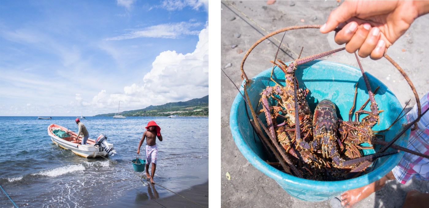 saint-pierre, martinique, pelée, volcan