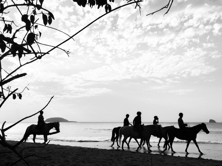 guadeloupe, retrospective, année2016