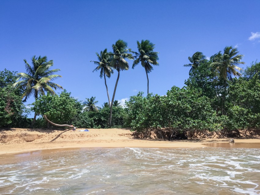 guadeloupe, retrospective, année2016