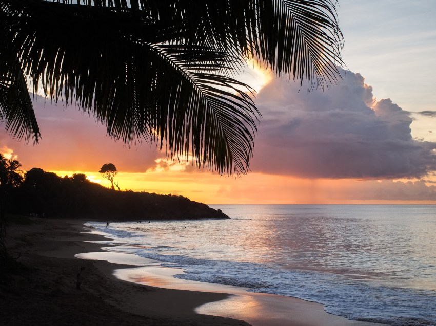 guadeloupe, retrospective, année2016